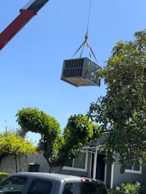 2024-05-21 (2)